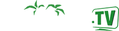 HaitiXchange.TV